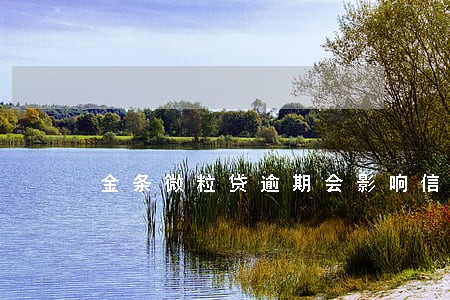金条微粒贷逾期会影响信用卡吗 金条微粒贷逾期会影响信用卡吗