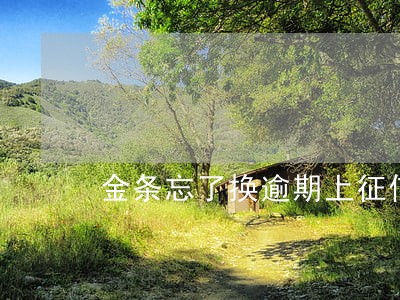 金条忘了换逾期上征信 金条忘了换逾期上征信