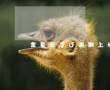 金条忘了还逾期上征信 金条忘了还逾期上征信