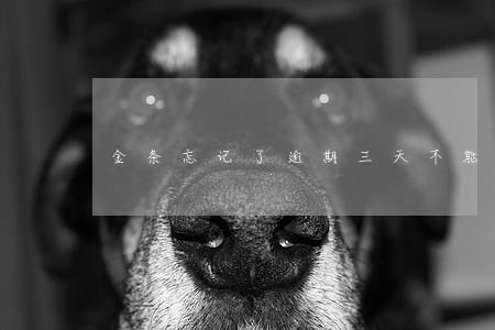 金条忘记了逾期三天不能借了 金条忘记了逾期三天不能借了
