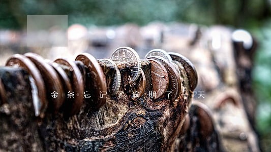 金条忘记了逾期了一天 金条忘记了逾期了一天
