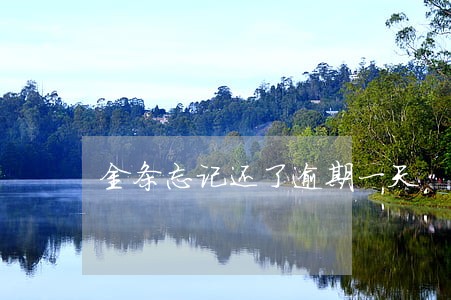 金条忘记还了逾期一天 金条忘记还了逾期一天