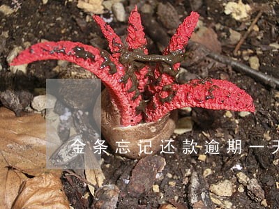 金条忘记还款逾期一天 金条忘记还款逾期一天