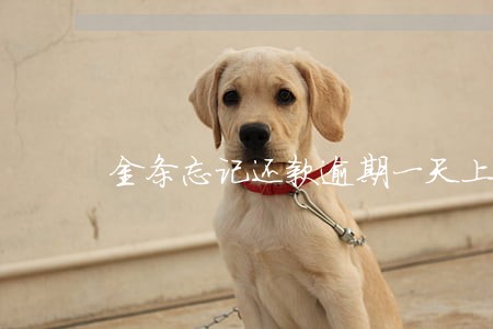金条忘记还款逾期一天上征信吗 金条忘记还款逾期一天上征信吗