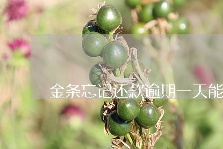 金条忘记还款逾期一天能沟通吗 金条忘记还款逾期一天能沟通吗