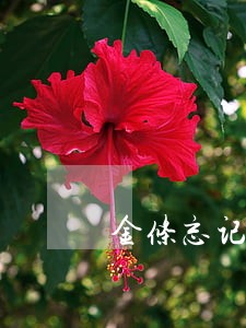 金条忘记还款逾期半个小时 金条忘记还款逾期半个小时