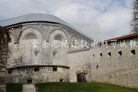 金条忘记还款逾期可以联系客户吗 金条忘记还款逾期可以联系客户吗