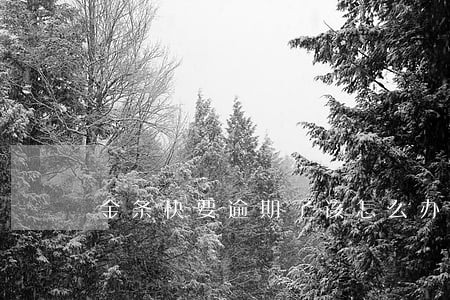 金条快要逾期了该怎么办 金条快要逾期了该怎么办
