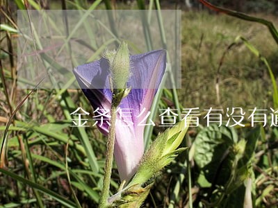 金条怎么查看有没有逾期 金条怎么查看有没有逾期