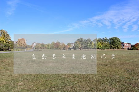 金条怎么查逾期记录 金条怎么查逾期记录