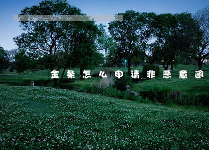 金条怎么申请非恶意逾期的证明 金条怎么申请非恶意逾期的证明
