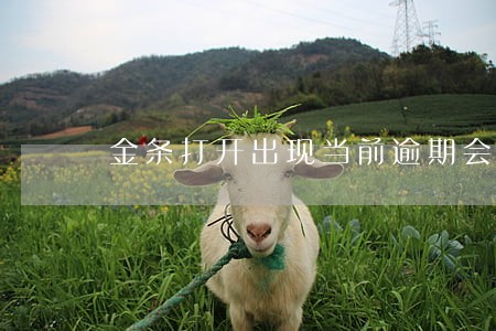 金条打开出现当前逾期会上征信吗 金条打开出现当前逾期会上征信吗