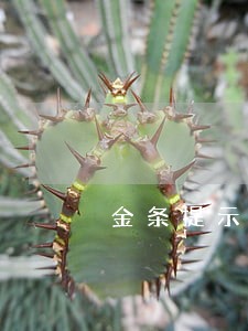 金条提示您当前账户有逾期 金条提示您当前账户有逾期