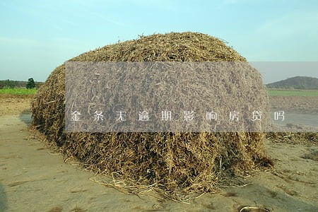 金条无逾期影响房贷吗 金条无逾期影响房贷吗