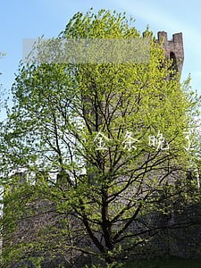金条晚了两天征信逾期 金条晚了两天征信逾期