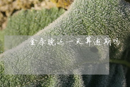 金条晚还一天算逾期吗