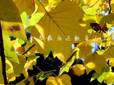 金条最后还款日还上算逾期么 金条最后还款日还上算逾期么