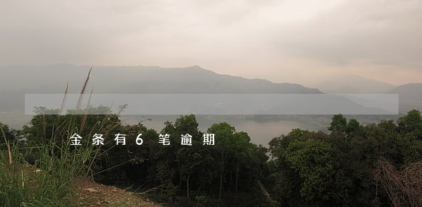 金条有6笔逾期