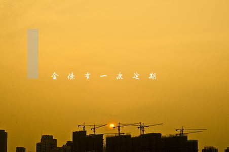 金条有一次逾期 金条有一次逾期