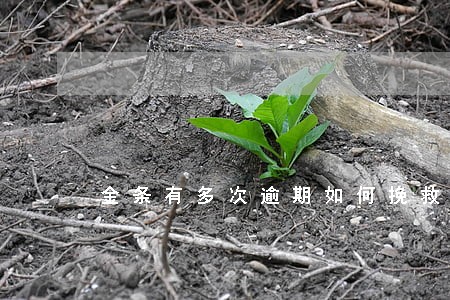 金条有多次逾期如何挽救 金条有多次逾期如何挽救