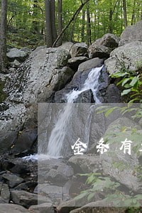 金条有过逾期还款后借不出来 金条有过逾期还款后借不出来
