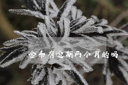 金条有逾期两个月的吗