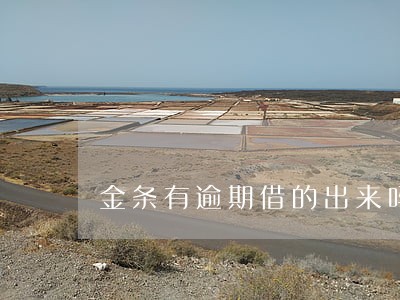 金条有逾期借的出来吗