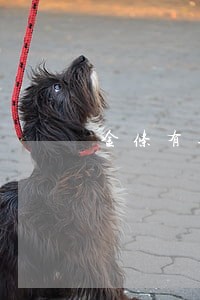 金条有逾期怎么取消 金条有逾期怎么取消