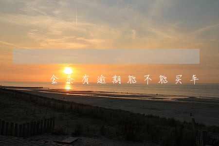 金条有逾期能不能买车 金条有逾期能不能买车