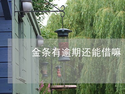 金条有逾期还能借嘛 金条有逾期还能借嘛