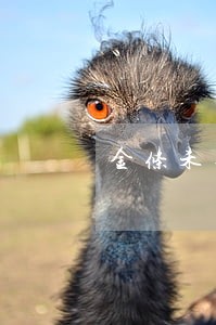 金条未逾期过为什么借不了了 金条未逾期过为什么借不了了