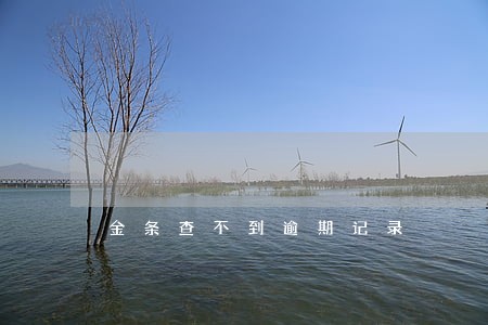 金条查不到逾期记录 金条查不到逾期记录