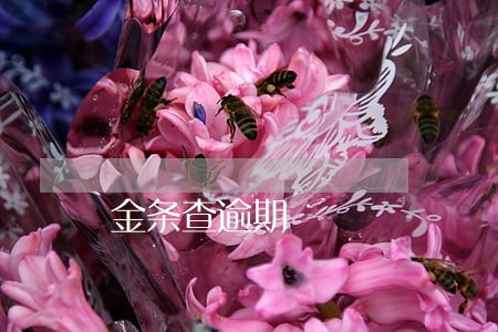 金条查逾期 金条查逾期