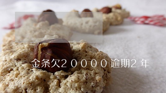 金条欠20000逾期2年
