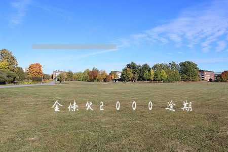 金条欠2000逾期 金条欠2000逾期