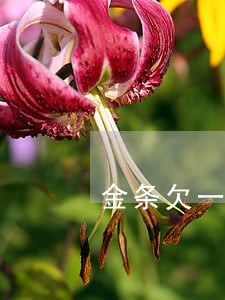 金条欠一万二逾期会怎么样 金条欠一万二逾期会怎么样