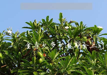 金条欠多少逾期会上门催收吗 金条欠多少逾期会上门催收吗