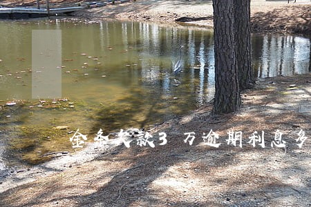 金条欠款3万逾期利息多高 金条欠款3万逾期利息多高