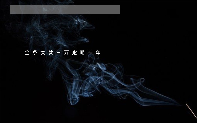 金条欠款三万逾期半年