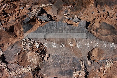 金条欠款因为疫情四万逾期