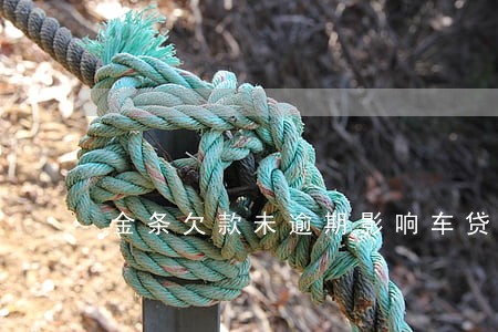 金条欠款未逾期影响车贷吗 金条欠款未逾期影响车贷吗
