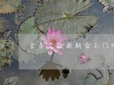 金条欠款逾期会上门吗 金条欠款逾期会上门吗