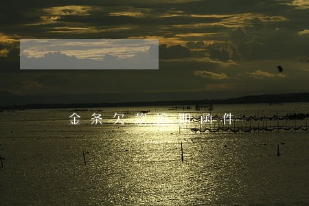 金条欠款逾期函件 金条欠款逾期函件