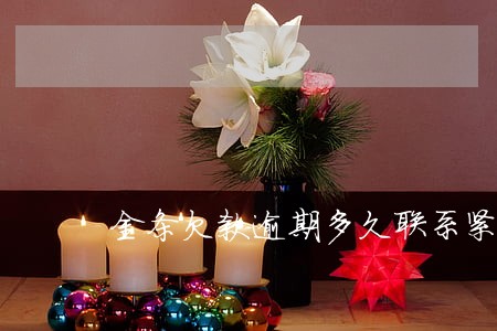 金条欠款逾期多久联系紧急联系人 金条欠款逾期多久联系紧急联系人