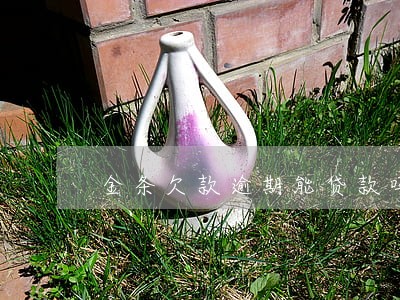 金条欠款逾期能贷款吗 金条欠款逾期能贷款吗