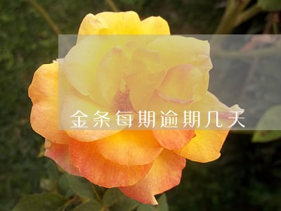 金条每期逾期几天 金条每期逾期几天