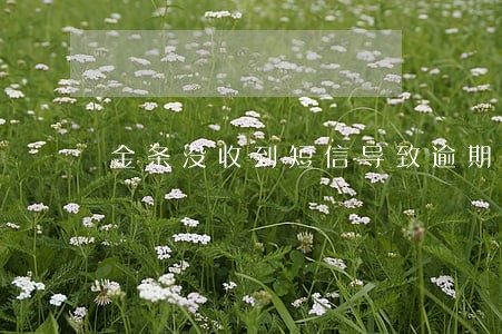 金条没收到短信导致逾期 金条没收到短信导致逾期