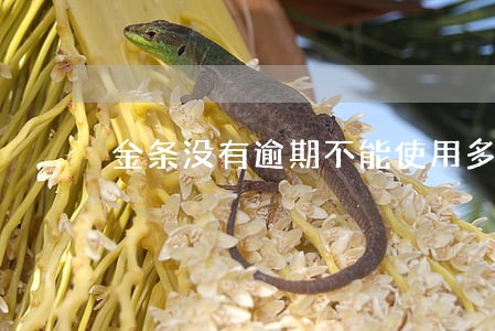 金条没有逾期不能使用多久恢复