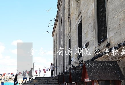 金条没有逾期怎么借款失败 金条没有逾期怎么借款失败