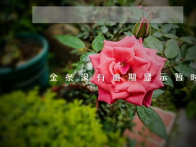 金条没有逾期显示暂时不能借款 金条没有逾期显示暂时不能借款